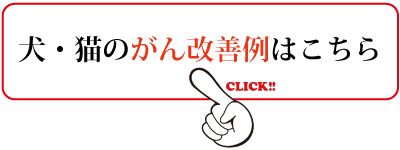 犬・猫の癌改善例はこちら