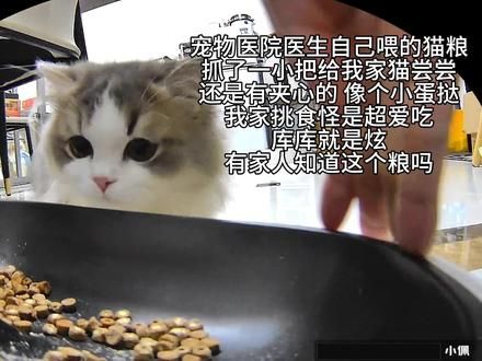 家人们海底捞这个有夹心的猫粮，好像个小蛋挞！#猫#猫粮#猫粮推荐#全网捞#米努特