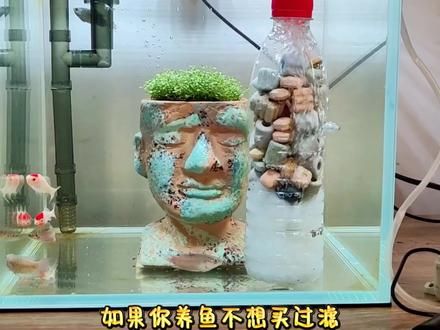 几乎零成本的自制造氧净水一体的水妖精 #水族#养鱼日记#鱼缸过滤##养龟日常 #观赏鱼