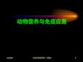 动物营养与免疫