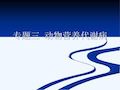 动物营养代谢疾病54页PPT