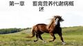 动物营养代谢病1_PPT幻灯片