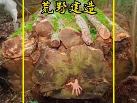 #孤独的最高境界 #感受身体与心灵的对话