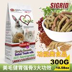 碧甜小动物功能活力零食棒300g 适合龙猫兔子豚鼠仓鼠松鼠蜜袋鼯