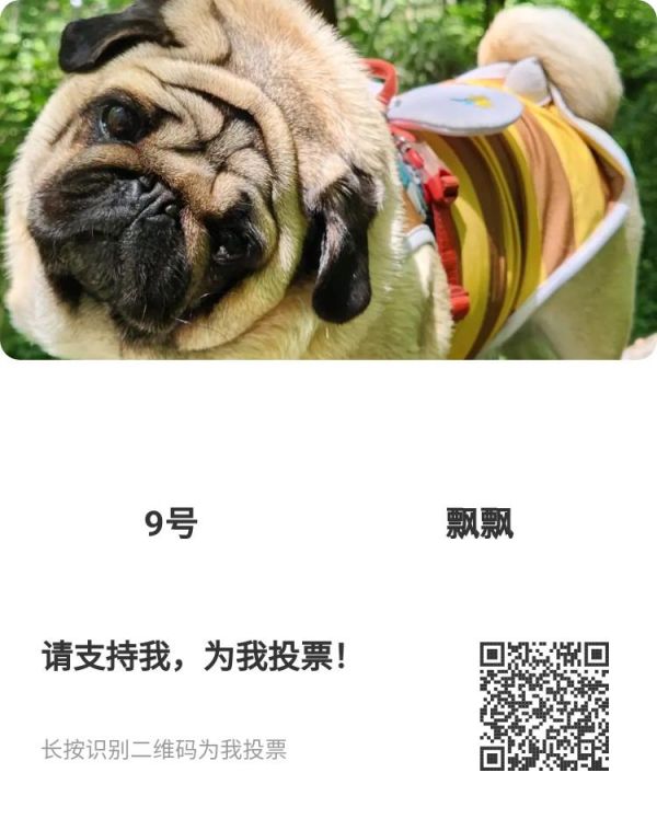萌宠摄影大赛，谢谢大家支持#萌宠出道计划 #狗狗 #被你萌化了 #比赛 长按识别二维码投票