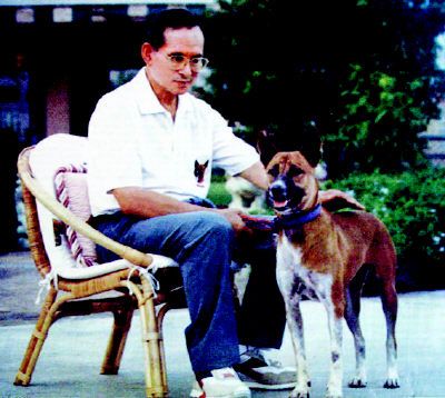 普密蓬国王和爱犬通丹在一起