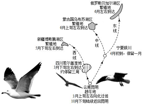 菁优网