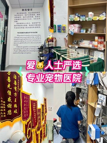 第一次宠物医院考察 | 24小时！专业信赖