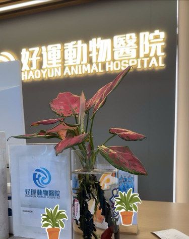 听朋友说这家还不错，今天特地来体验了一下