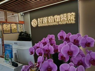 我心目中最好的宠物医院