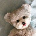 https://p1.meituan.net/userheadpicbackend/02476789d7f96ca5158d9ac78f8c7b04299016.jpg%40120w_120h_1e_1c_1l%7Cwatermark%3D0