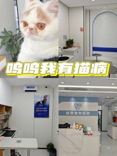呜呜我有猫病～
