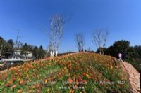 长兴岛郊野公园