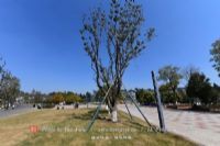 东平国家森林公园