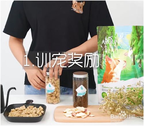 怎么喂猫狗吃冻干生骨肉