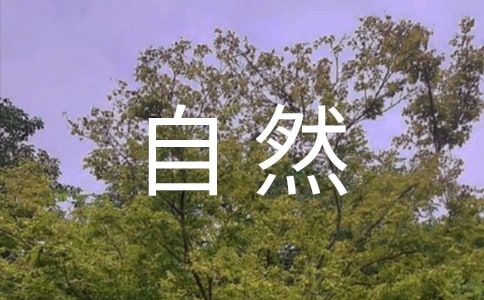 人与自然和谐相处的优秀作文（通用9篇）