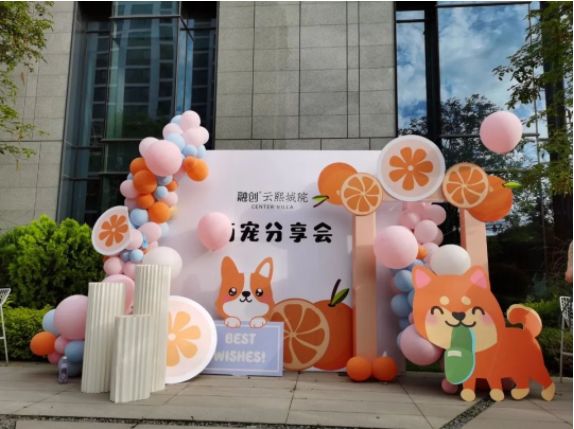 福宠展萌宠活动之柴犬趴
