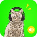 人狗人猫交流器软件