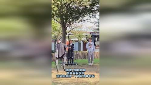 机器人遛机器狗，结果双双摔倒，这买回去起一个添乱的作用吗