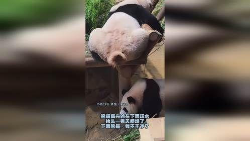 熊猫高兴的在下面玩水，抬头一看天都塌了，下面熊猫：我不干净了