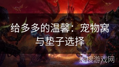 给多多的温馨：宠物窝与垫子选择