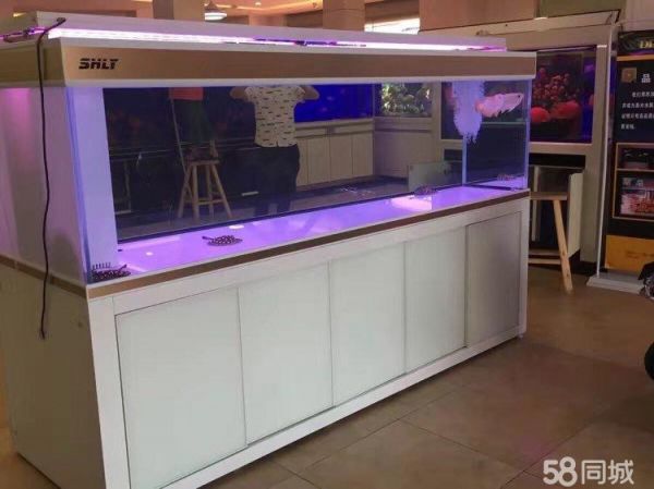 昆山市玉山镇泗海龙源水族店·各类观赏鱼鱼缸海鲜缸上