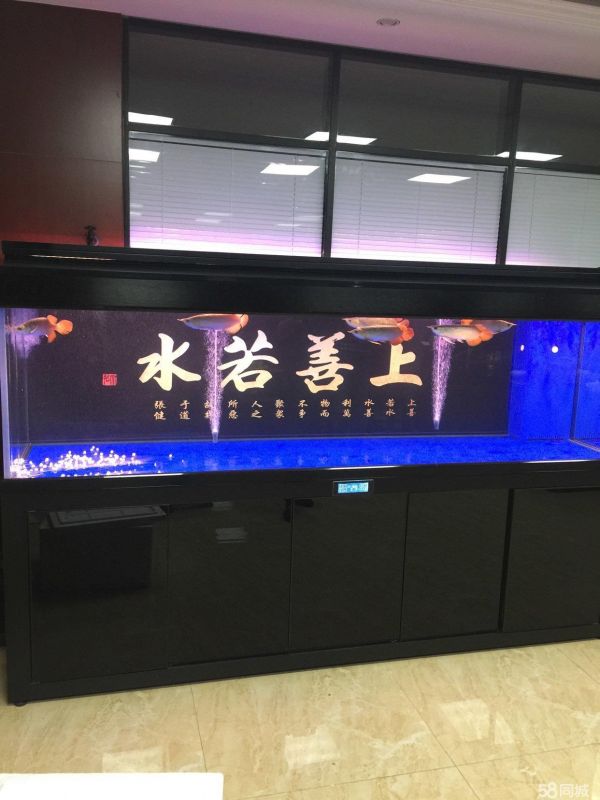 昆山市玉山镇泗海龙源水族店·各类观赏鱼鱼缸定制清洗