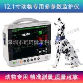 施博瑞动物多参数心电监护仪宠物兽用多功能监测仪心电监护仪宠物