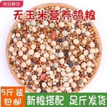 5斤装鸽子粮无玉米鸽粮食营养饲料鸟食信鸽观赏鸽肉鸽幼鸽成鸽粮