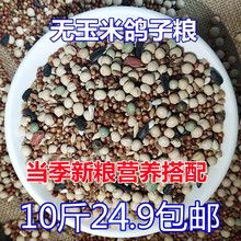 10斤鸽子粮无玉米鸽粮食营养饲料鸟食信鸽观赏鸽肉鸽幼鸽成鸽粮