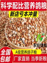 20斤鸽子粮无玉米鸽粮食营养饲料鸟食信鸽观赏鸽肉鸽幼鸽成鸽粮