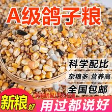 10斤鸽子粮有玉米鸽粮食营养饲料鸟食信鸽观赏鸽肉鸽幼鸽成鸽粮
