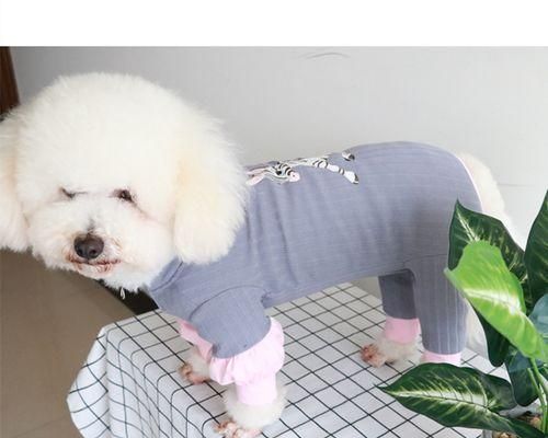 如何正确区分公狗和母狗（宠物爱好者必知的识别技巧）
