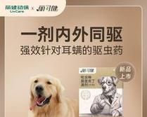 狗狗指尖囊肿的治疗方法（宠物爱好者必看）