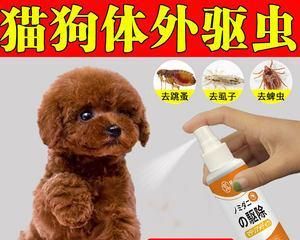 狗狗指尖囊肿的治疗方法（宠物爱好者必看）