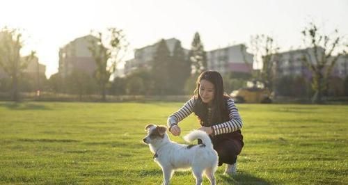 狗狗的健康生活从每天的散步开始（宠物狗的散步距离该如何安排）