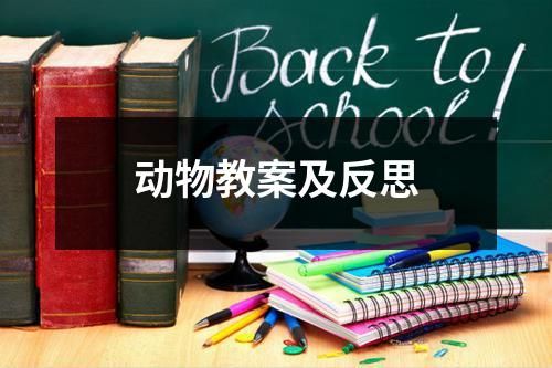 动物教案及反思