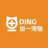 DING加一宠物