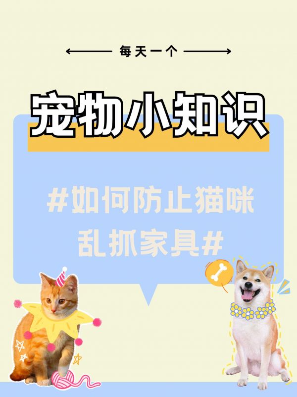养猫必看：怎么防止猫咪乱抓家具？。#科学养宠攻略 #猫知识 #防止猫咪抓沙发 #萌宠百科 #猫咪