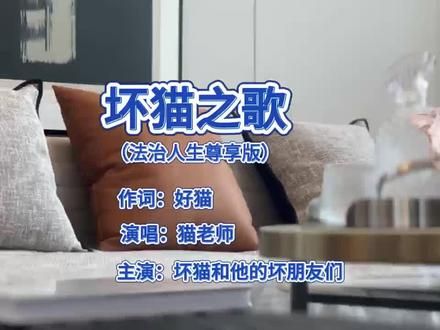 听坏猫之歌，享法治人生。来！大家一起唱：坏猫！坏猫！#有些猫天生就是主角 #小猫坏事做尽之歌 #猫咪 #坏猫 （供稿：海口边检总站凤凰边检站 蒋伟）