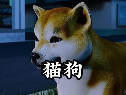 这些做法对狗狗和猫咪来说太残忍了 #科普一下 #涨知识 #猫咪 #动物科普
