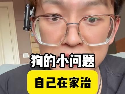 狗狗窝咳小毛病,自己在家就能整 #犬窝咳 #狗狗窝咳怎么办 #养狗小知识 #养狗必备 #科学养宠攻略