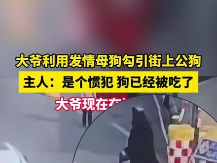 大爷利用发情母狗勾引街上公狗,主人:是个惯犯 狗已经被吃了#流浪狗 #狗狗 #社会百态