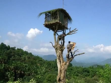 果然高手在民间#野外生存 #野外建造 #荒野独居