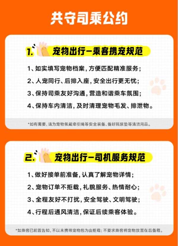 滴滴宠物出行来了！宠物快车全国上线 宠物专车覆盖49城