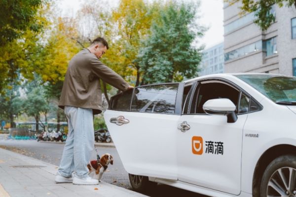 滴滴宠物出行来了！宠物快车全国上线 宠物专车覆盖49城