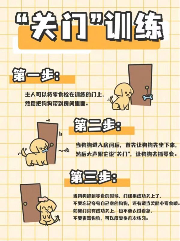 金毛犬到底怎么训练的？网友：家有“废狗”