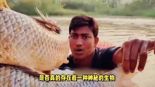 世界上真的有美人鱼，印度曾捉到过一只，专家看完立马放生