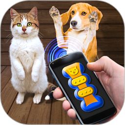我的猫猫狗狗翻译器