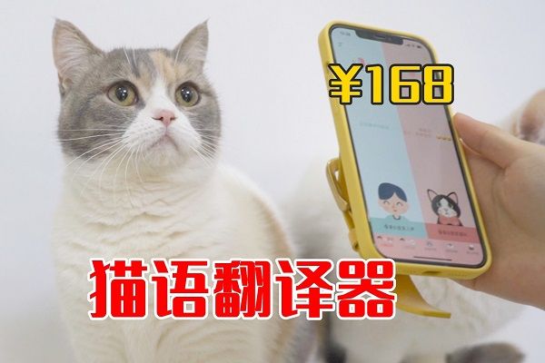 萌宠翻译软件哪个好用-最好用的萌宠翻译软件推荐